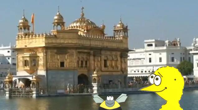 henny hatchy Sniggel Geschenk Henny hatchy Sniggel Wyrm Plumbee jimjams Küken Spinne Schnecke Hummel Regenwurm Wurm Comic Cartoon Goldener Tempel - Amritsar - Indien
