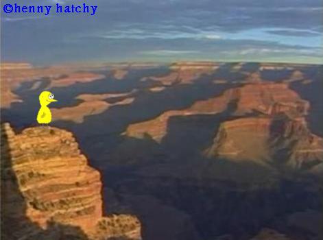 henny hatchy Grand Canyon Arizona USA henny hatchy Sniggel Geschenk Henny hatchy Sniggel Wyrm Plumbee jimjams Küken Spinne Schnecke Hummel Regenwurm Wurm Comic Cartoon